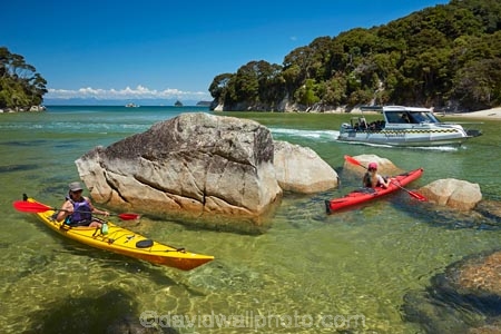 Abel-Tasman;Abel-Tasman-N.P.;Abel-Tasman-National-Park;Abel-Tasman-NP;adventure;adventure-tourism;beach;beaches;boat;boats;canoe;canoeing;canoes;clean-water;clear-water;coast;coastal;coastline;coastlines;coasts;estuaries;estuary;hot;inlet;inlets;kayak;kayaker;kayakers;kayaking;kayaks;lagoon;lagoons;M.R.;model-release;model-released;Mosquito-Bay;MR;N.Z.;national-park;national-parks;Nelson-Region;New-Zealand;NZ;ocean;oceans;paddle;paddler;paddlers;paddling;people;person;red-kayak;red-kayaks;S.I.;sea;sea-kayak;sea-kayaker;sea-kayakers;sea-kayaking;sea-kayaks;seas;shore;shoreline;shorelines;shores;South-Is;South-Island;Sth-Is;summer;Tasman-Bay;Tasman-District;tidal;tide;tourism;tourist;tourists;vacation;vacations;water;yellow-kayak;yellow-kayaks;water-taxi;water-taxis;boat;boats