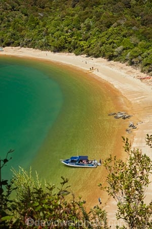 Abel-Tasman;Abel-Tasman-N.P.;Abel-Tasman-National-Park;Abel-Tasman-NP;adventure;adventure-tourism;beach;beaches;boat;boats;camp-ground;camp-grounds;camp-site;camp-sites;campground;campgrounds;camping-ground;camping-grounds;camping-site;camping-sites;campsite;campsites;canoe;canoeing;canoes;coast;coastal;coastline;coastlines;coasts;cruise;cruise-boat;cruise-boats;cruises;hot;kayak;kayaker;kayakers;kayaking;kayaks;N.Z.;national-park;national-parks;Nelson-Region;New-Zealand;NZ;ocean;oceans;paddle;paddler;paddlers;paddling;people;person;pleasure-boat;pleasure-boats;polarised;polarized;S.I.;sea;sea-kayak;sea-kayaker;sea-kayakers;sea-kayaking;sea-kayaks;seas;shore;shoreline;shorelines;shores;South-Is;South-Island;Sth-Is;summer;Tasman-Bay;Tasman-District;Te-Pukatea;Te-Pukatea-Bay;Te-Pukatea-Bay-campground;Te-Pukatea-Bay-campsite;tour-boat;tour-boats;tourism;tourist;tourist-boat;tourist-boats;tourists;vacation;vacations;water;water-taxi;water-taxis