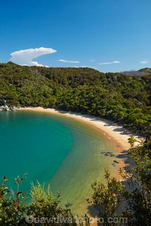 Abel-Tasman;Abel-Tasman-N.P.;Abel-Tasman-National-Park;Abel-Tasman-NP;beach;beaches;camp-ground;camp-grounds;camp-site;camp-sites;campground;campgrounds;camping-ground;camping-grounds;camping-site;camping-sites;campsite;campsites;coast;coastal;coastline;coastlines;coasts;hot;N.Z.;national-park;national-parks;Nelson-Region;New-Zealand;NZ;ocean;oceans;S.I.;sea;seas;shore;shoreline;shorelines;shores;South-Is;South-Island;Sth-Is;summer;Tasman-Bay;Tasman-District;Te-Pukatea;Te-Pukatea-Bay;Te-Pukatea-Bay-campground;Te-Pukatea-Bay-campsite;water