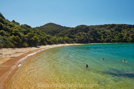 Abel-Tasman;Abel-Tasman-N.P.;Abel-Tasman-National-Park;Abel-Tasman-NP;beach;beaches;coast;coastal;coastline;coastlines;coasts;hot;model-release;model-released;MR;N.Z.;national-park;national-parks;Nelson-Region;New-Zealand;NZ;ocean;oceans;S.I.;sea;seas;shore;shoreline;shorelines;shores;South-Is;South-Island;Sth-Is;summer;swimmer;swimmers;swimming;Tasman-Bay;Tasman-District;Te-Pukatea;Te-Pukatea-Bay;water