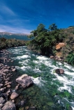 Buller-River;St-Arnaud;Nelson-Lakes-National-Park;rivers;south-island;new-zealand;clean-clear;green;rapid;rapids;national-parks;nelson-lakes;natural;stream;streams;brook;brooks;creek;creeks;bubbling;moss;lush;verdant