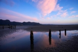 beach;beaches;break-of-day;calm;cloud;clouds;coast;coastal;coastline;Collingwood;dawn;dawning;daybreak;first-light;Golden-Bay;jetties;jetty;morning;N.Z.;Nelson-Region;New-Zealand;NZ;ocean;oceans;pier;piers;pile;piles;pink;placid;quiet;reflection;reflections;S.I.;sand;sandy;serene;shore;shoreline;SI;sky;smooth;South-Is.;South-Island;still;sunrise;sunrises;sunup;tidal;tide;tranquil;twilight;water;waterside;wharf;wharfes;wharves