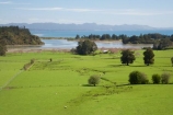 agricultural;agriculture;country;countryside;farm;farming;farmland;farms;field;fields;Golden-Bay;lookout;meadow;meadows;Motupipi-Estuary;N.Z.;Nelson-Region;New-Zealand;NZ;paddock;paddocks;pasture;pastures;rural;S.I.;SI;South-Is.;South-Island;Takaka;The-Grove;The-Grove-Scenic-Reserve;view;views
