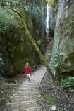 canyon;canyons;child;children;families;family;Golden-Bay;gorge;gorges;kids;limestone;model-release;model-released;mother;mothers;N.Z.;Nelson-Region;New-Zealand;NZ;path;paths;pathway;pathways;people;person;S.I.;SI;slot-canyon;slot-canyons;South-Is.;South-Island;Takaka;The-Grove;The-Grove-Scenic-Reserve;track;tracks;walkers;walking