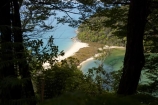 Abel-Tasman-Coast-Track;Abel-Tasman-Coastal-Track;Abel-Tasman-N.P.;Abel-Tasman-National-Park;Abel-Tasman-NP;beautiful;beauty;bush;endemic;estuaries;estuary;forest;forests;green;inlet;inlets;lagoon;lagoons;N.Z.;national-park;national-parks;native;native-bush;natives;natural;nature;Nelson-Region;New-Zealand;NZ;S.I.;Sandfly-Bay;scene;scenic;SI;South-Is.;South-Island;tidal;tide;timber;tree;trees;water;wood;woods