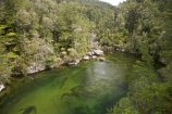 Abel-Tasman-Coast-Track;Abel-Tasman-Coastal-Track;Abel-Tasman-N.P.;Abel-Tasman-National-Park;Abel-Tasman-NP;beautiful;beauty;bush;endemic;estuaries;estuary;Falls-River;Falls-River-Inlet;Falls-River-Lagoon;forest;forests;green;inlet;inlets;lagoon;lagoons;N.Z.;national-park;national-parks;native;native-bush;natives;natural;nature;Nelson-Region;New-Zealand;NZ;rivers;S.I.;scene;scenic;SI;South-Is.;South-Island;tidal;tide;timber;tree;trees;water;wood;woods