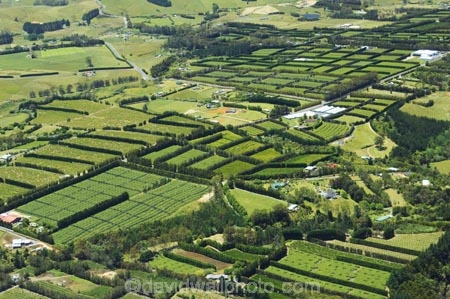 aerial;aerials;agricultural;agriculture;bay-of-islands;country;countryside;crop;crops;farm;farming;farmland;farms;field;fields;fruit;hedgerow;hedgerows;horticultural;horticulture;kerikeri;kiwi-fruit;kiwifruit;meadow;meadows;new-zealand;north-is.;north-island;north-islands;northland;orchard;orchards;paddock;paddocks;pasture;pastures;rural;sub-tropical;sub_tropical;windbreak;windbreaks