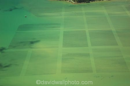 aerial;aerials;aqua;aqua-farm;aqua-farming;aqua-farms;aqua_farm;aqua_farming;aqua_farms;coast;coastal;coastline;estuary;green;harbor;harbors;harbour;harbours;marine;marine-farm;marine-farming;marine-farms;new-zealand;north-is.;north-island;northland;sea;shell-fish;shellfish;shore;shoreline;teal;tidal;tide;tides;water;Whangaroa-Harbour