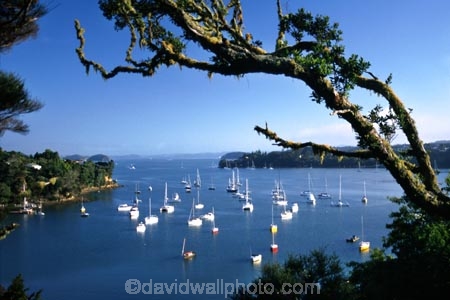 boat;boats;coast;harbour;ocean;port;sea;water;yacht;yachts