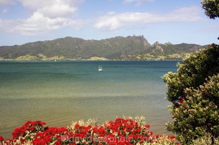 aqua;coast;coastal;coastline;color;colour;estuary;green;harbor;harbors;harbour;harbours;new-zealand;north-is.;north-island;Northland;pohutukawa;pohutukawas;sea;tidal;tide;tides;tree;trees;water;Whangarei-Harbour