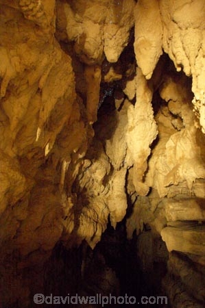 cave;caves;caving;glow-worm;glow-worms;glow_worm;glow_worms;Kawakawa;kawiti;Kawiti-Glow-Worm-Caves;limestone;nature;new-zealand;north-is.;north-island;Northland;potholing;stalactite;stalactites;stalagmite;stalagmites;tourism;troglodite;troglodites;under-ground;under_ground;underground;walkway