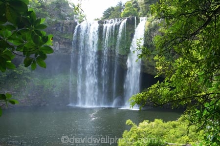 bay-of-islands;cascade;cascades;creek;creeks;falls;Kerikeri;natural;nature;new-zealand;north-is.;north-island;Northland;Rainbow-Falls;river;rivers;scene;scenic;stream;streams;water;water-fall;water-falls;waterfall;waterfalls;wet
