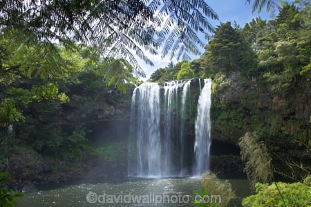 bay-of-islands;cascade;cascades;creek;creeks;falls;Kerikeri;natural;nature;new-zealand;north-is.;north-island;Northland;Rainbow-Falls;river;rivers;scene;scenic;stream;streams;water;water-fall;water-falls;waterfall;waterfalls;wet