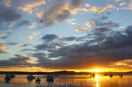 bay-of-islands;boat;boats;color;colour;dusk;idyllic;launch;launches;mast;masts;new-zealand;north-is.;north-island;northland;orange;peaceful;reflection;reflections;russell;serene;silhouette;silhouettes;sun;sunset;sunsets;twilight;water;yacht;yachts