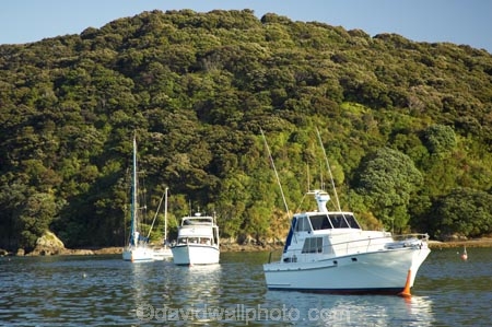 anchorage;bay-of-islands;boat;boats;Building;craft;haven;landing-stage;marina;new-zealand;north-is.;north-island;Northland;russell;vessel;waterfront;waterside;yacht;yachts