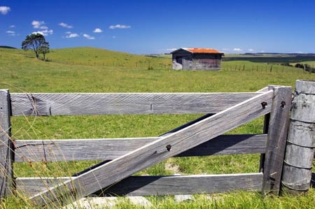 agricultural;agriculture;building;buildings;country;countryside;crop;crops;farm;farming;farmland;farms;fence;fenceline;fencelines;fences;field;fields;gate;gates;gateway;gateways;horticulture;meadow;meadows;new-zealand;north-is.;north-island;old-farm-shed;paddock;paddocks;pasture;pastures;rural;shed;sheds;tree;trees