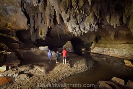 beach;beaches;cave;cave-interior;cavern;caverns;cavers;caves;caving;explore;explorers;exploring;formation;geology;grotto;grottos;limestone;N.I.;N.Z.;New-Zealand;NI;North-Is;North-Is.;North-Island;Northland;NZ;people;person;rock;rock-formation;rock-formations;sand;scenic;stalactite;stalactites;stalagmite;stalagmites;tourism;tourist;tourists;underground;Waipu-Caves