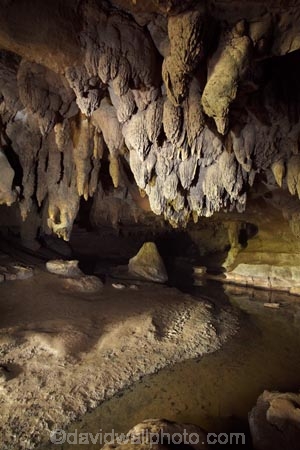 beach;beaches;cave;cave-interior;cavern;caverns;cavers;caves;caving;explore;explorers;exploring;formation;geology;grotto;grottos;limestone;N.I.;N.Z.;New-Zealand;NI;North-Is;North-Is.;North-Island;Northland;NZ;rock;rock-formation;rock-formations;sand;scenic;stalactite;stalactites;stalagmite;stalagmites;underground;Waipu-Caves