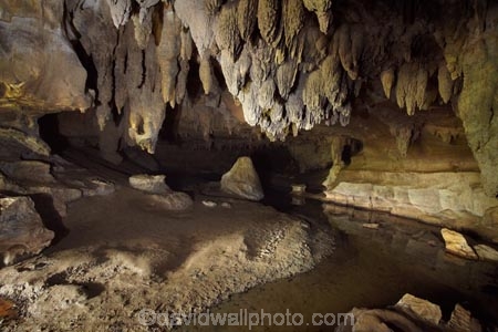 beach;beaches;cave;cave-interior;cavern;caverns;cavers;caves;caving;explore;explorers;exploring;formation;geology;grotto;grottos;limestone;N.I.;N.Z.;New-Zealand;NI;North-Is;North-Is.;North-Island;Northland;NZ;rock;rock-formation;rock-formations;sand;scenic;stalactite;stalactites;stalagmite;stalagmites;underground;Waipu-Caves