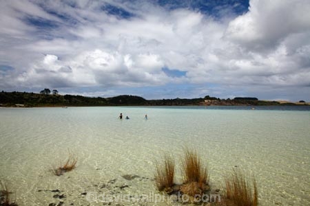 boy;boys;brother;brothers;child;children;families;family;girl;girls;Kai-Iwi-Lakes;Kaipara-District;kid;kids;lake;Lake-Taharoa;lakes;little-boy;little-girl;mother;mothers;N.I.;N.Z.;New-Zealand;NI;North-Is;North-Is.;North-Island;Northland;NZ;people;person;play;playing;reed;reeds;sibbling;sibblings;sister;sisters;small-boys;small-girls;swim;swimmer;swimmers;swimming;tourism;tourist;tourists