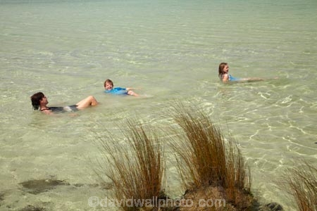 boy;boys;brother;brothers;child;children;families;family;girl;girls;Kai-Iwi-Lakes;Kaipara-District;kid;kids;lake;Lake-Taharoa;lakes;little-boy;little-girl;mother;mothers;N.I.;N.Z.;New-Zealand;NI;North-Is;North-Is.;North-Island;Northland;NZ;people;person;play;playing;reed;reeds;sibbling;sibblings;sister;sisters;small-boys;small-girls;swim;swimmer;swimmers;swimming;tourism;tourist;tourists