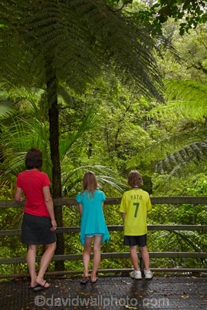 beautiful;beauty;boardwalk;boardwalks;boy;boys;brother;brothers;bush;child;children;cyathea;endemic;families;family;fern;ferns;footpath;footpaths;forest;forest-reserve;forest-track;forest-tracks;forests;frond;fronds;girl;girls;green;hiking-track;hiking-tracks;kauri-forest;Kauri-Forests;Kerikeri;kid;kids;little-boy;little-girl;lush;Manginangina;Manginangina-Kauri-Walk;Manginangina-Walk;mother;mothers;N.I.;N.Z.;native;native-bush;natives;natural;nature;New-Zealand;NI;North-Is;North-Is.;North-Island;Northland;NZ;path;paths;people;person;plant;plants;ponga;pongas;Puketi-Forest;punga;pungas;rain-forest;rain-forests;rain_forest;rain_forests;rainforest;rainforests;scene;scenic;sibbling;sibblings;sister;sisters;small-boys;small-girls;timber;tourism;tourist;tourists;track;tracks;tree;tree-fern;tree-ferns;trees;walking-track;walking-tracks;wood;woods