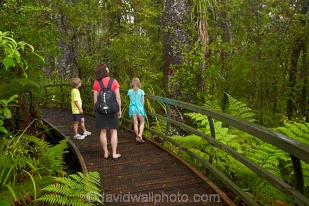 beautiful;beauty;boardwalk;boardwalks;boy;boys;brother;brothers;bush;child;children;endemic;families;family;footpath;footpaths;forest;forest-reserve;forest-track;forest-tracks;forests;girl;girls;green;hiking-track;hiking-tracks;kauri-forest;kauri-forests;Kauri-Tree;Kauri-Trees;Kerikeri;kid;kids;little-boy;little-girl;lush;Manginangina;Manginangina-Kauri-Walk;Manginangina-Walk;mother;mothers;N.I.;N.Z.;native;native-bush;natives;natural;nature;New-Zealand;NI;North-Is;North-Is.;North-Island;Northland;NZ;path;paths;people;person;Puketi-Forest;rain-forest;rain-forests;rain_forest;rain_forests;rainforest;rainforests;scene;scenic;sibbling;sibblings;sister;sisters;small-boys;small-girls;timber;tourism;tourist;tourists;track;tracks;tree;tree-trunk;tree-trunks;trees;trunk;trunks;walking-track;walking-tracks;wood;woods