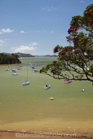 Bay-of-Is;Bay-of-Islands;boat;boats;coast;coastal;coastline;coastlines;coasts;foreshore;N.I.;N.Z.;New-Zealand;NI;North-Is;North-Is.;North-Island;Northland;NZ;Opua;shore;shoreline;shorelines;shores;Veronica-Channel;water;yacht;yachts