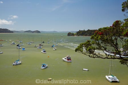 Bay-of-Is;Bay-of-Islands;boat;boats;coast;coastal;coastline;coastlines;coasts;foreshore;N.I.;N.Z.;New-Zealand;NI;North-Is;North-Is.;North-Island;Northland;NZ;Opua;shore;shoreline;shorelines;shores;Veronica-Channel;water;yacht;yachts