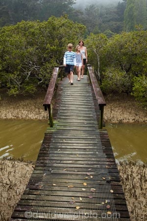 Bay-of-Is;Bay-of-Islands;boardwalk;boardwalks;boy;bridge;bridges;child;children;estuaries;estuary;families;family;foot-bridge;foot-bridges;footbridge;footbridges;girl;hiking-track;hiking-tracks;inlet;inlets;lagoon;lagoons;mangrove;mangrove-boardwalk;mangrove-boardwalks;mangrove-swamp;mangrove-swamps;mangroves;mother;N.I.;N.Z.;New-Zealand;NI;North-Is;North-Is.;North-Island;Northland;NZ;Paihia;pedestrian-bridge;pedestrian-bridges;people;person;tidal;tide;tides;tourism;tourist;tourists;track;tracks;walking-track;walking-tracks;water