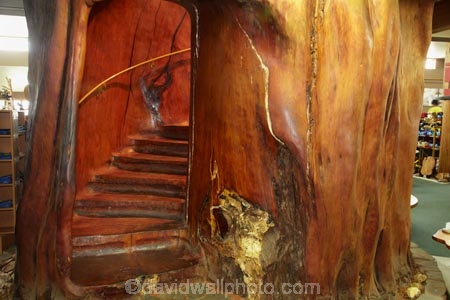 Ancient-Kauri-Kingdom;Awanui;Far-North;giant-kauri-tree;giant-kauri-trees;Kaitaia;Kauri-kingdom;Kauri-shop;kauri-tree;kauri-trees;kauri-trunk;N.I.;N.Z.;New-Zealand;NI;North-Is;North-Is.;North-Island;Northland;NZ;stair;staircase;staircases;stairs;stairway;stairways;tree;tree-trunk;tree-trunks;trees;wood;wooden