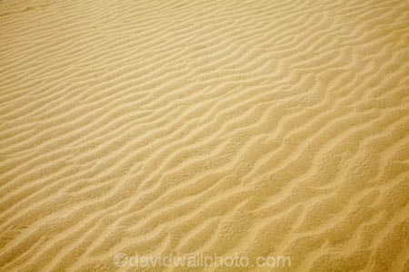 dune;dunes;Far-North;N.I.;N.Z.;New-Zealand;NI;North-Is;North-Is.;North-Island;Northland;NZ;pattern;patterns;ripple;ripples;sand;sand-dune;sand-dunes;sand-hill;sand-hills;sand-pattern;sand-patterns;sand-ripple;sand-ripples;sand_dune;sand_dunes;sand_hill;sand_hills;sanddune;sanddunes;sandhill;sandhills;sandy;Te-Paki-Creek;Te-Paki-Dunes;Te-Paki-Recreational-Reserve;Te-Paki-Reserve;Te-Paki-Sand-Dunes;Te-Paki-Sand-Hills;Te-Paki-Stream;water-pattern;water-patterns;wind-pattern;wind-patterns