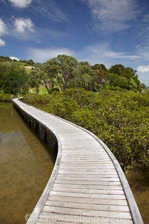 Auckland-Region;boardwalk;boardwalks;bridge;bridges;estuaries;estuary;foot-bridge;foot-bridges;footbridge;footbridges;hiking-track;hiking-tracks;inlet;inlets;lagoon;lagoons;mangrove;mangrove-boardwalk;mangrove-boardwalks;mangrove-swamp;mangrove-swamps;mangroves;N.I.;N.Z.;New-Zealand;NI;North-Is;North-Is.;North-Island;Northland;NZ;pedestrian-bridge;pedestrian-bridges;Rodney-District;Sandspit;tidal;tide;tides;track;tracks;walking-track;walking-tracks;Warkworth;water