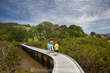 Auckland-Region;boardwalk;boardwalks;boy;bridge;bridges;child;children;estuaries;estuary;families;family;foot-bridge;foot-bridges;footbridge;footbridges;girl;hiking-track;hiking-tracks;inlet;inlets;lagoon;lagoons;mangrove;mangrove-boardwalk;mangrove-boardwalks;mangrove-swamp;mangrove-swamps;mangroves;mother;N.I.;N.Z.;New-Zealand;NI;North-Is;North-Is.;North-Island;Northland;NZ;pedestrian-bridge;pedestrian-bridges;people;person;Rodney-District;Sandspit;tidal;tide;tides;tourism;tourist;tourists;track;tracks;walking-track;walking-tracks;Warkworth;water