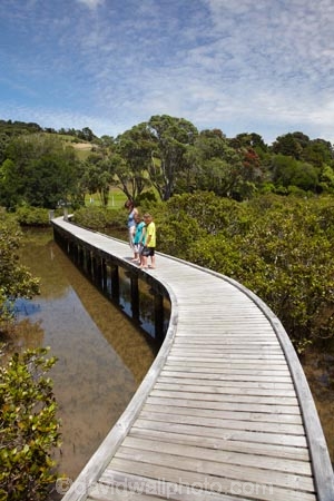 Auckland-Region;boardwalk;boardwalks;boy;bridge;bridges;child;children;estuaries;estuary;families;family;foot-bridge;foot-bridges;footbridge;footbridges;girl;hiking-track;hiking-tracks;inlet;inlets;lagoon;lagoons;mangrove;mangrove-boardwalk;mangrove-boardwalks;mangrove-swamp;mangrove-swamps;mangroves;mother;N.I.;N.Z.;New-Zealand;NI;North-Is;North-Is.;North-Island;Northland;NZ;pedestrian-bridge;pedestrian-bridges;people;person;Rodney-District;Sandspit;tidal;tide;tides;tourism;tourist;tourists;track;tracks;walking-track;walking-tracks;Warkworth;water