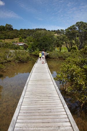 Auckland-Region;boardwalk;boardwalks;boy;bridge;bridges;child;children;estuaries;estuary;families;family;foot-bridge;foot-bridges;footbridge;footbridges;girl;hiking-track;hiking-tracks;inlet;inlets;lagoon;lagoons;mangrove;mangrove-boardwalk;mangrove-boardwalks;mangrove-swamp;mangrove-swamps;mangroves;mother;N.I.;N.Z.;New-Zealand;NI;North-Is;North-Is.;North-Island;Northland;NZ;pedestrian-bridge;pedestrian-bridges;people;person;Rodney-District;Sandspit;tidal;tide;tides;tourism;tourist;tourists;track;tracks;walking-track;walking-tracks;Warkworth;water