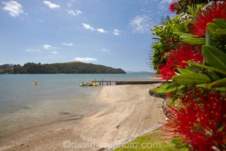 Auckland-Region;coast;coastal;coastline;coastlines;coasts;estuaries;estuary;flower;flowers;foreshore;inlet;inlets;lagoon;lagoons;Matakana-River;metrosideros-excelsa;N.I.;N.Z.;native;native-plant;native-plants;New-Zealand;NI;North-Is;North-Is.;North-Island;Northland;NZ;plant;plants;pohutakawa;pohutakawas;pohutukawa;pohutukawa-flower;pohutukawa-flowers;pohutukawa-tree;pohutukawa-trees;pohutukawas;Rodney-District;Sandspit;Sandspit-Campground;Sandspit-Holiday-Park;shore;shoreline;shorelines;shores;summer;tidal;tide;tree;trees;Warkworth;water