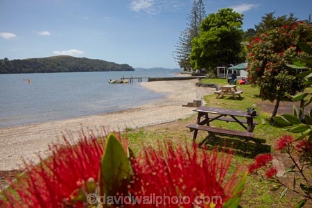 Auckland-Region;coast;coastal;coastline;coastlines;coasts;estuaries;estuary;flower;flowers;foreshore;inlet;inlets;lagoon;lagoons;Matakana-River;metrosideros-excelsa;N.I.;N.Z.;native;native-plant;native-plants;New-Zealand;NI;North-Is;North-Is.;North-Island;Northland;NZ;plant;plants;pohutakawa;pohutakawas;pohutukawa;pohutukawa-flower;pohutukawa-flowers;pohutukawa-tree;pohutukawa-trees;pohutukawas;Rodney-District;Sandspit;Sandspit-Campground;Sandspit-Holiday-Park;shore;shoreline;shorelines;shores;summer;tidal;tide;tree;trees;Warkworth;water