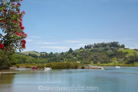 Auckland-Region;coast;coastal;coastline;coastlines;coasts;estuaries;estuary;flower;flowers;foreshore;inlet;inlets;lagoon;lagoons;metrosideros-excelsa;N.I.;N.Z.;native;native-plant;native-plants;New-Zealand;NI;North-Is;North-Is.;North-Island;Northland;NZ;plant;plants;pohutakawa;pohutakawas;pohutukawa;pohutukawa-flower;pohutukawa-flowers;pohutukawa-tree;pohutukawa-trees;pohutukawas;Puhoi-River;Puhutakawa-Tree;Rodney-District;shore;shoreline;shorelines;shores;summer;tidal;tide;tree;trees;water;Wenderholm-Park;Wenderholm-Regional-Park
