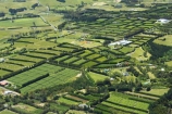 aerial;aerials;agricultural;agriculture;bay-of-islands;country;countryside;crop;crops;farm;farming;farmland;farms;field;fields;fruit;hedgerow;hedgerows;horticultural;horticulture;kerikeri;kiwi-fruit;kiwifruit;meadow;meadows;new-zealand;north-is.;north-island;north-islands;northland;orchard;orchards;paddock;paddocks;pasture;pastures;rural;sub-tropical;sub_tropical;windbreak;windbreaks
