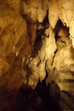 cave;caves;caving;glow-worm;glow-worms;glow_worm;glow_worms;Kawakawa;kawiti;Kawiti-Glow-Worm-Caves;limestone;nature;new-zealand;north-is.;north-island;Northland;potholing;stalactite;stalactites;stalagmite;stalagmites;tourism;troglodite;troglodites;under-ground;under_ground;underground;walkway