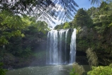 bay-of-islands;cascade;cascades;creek;creeks;falls;Kerikeri;natural;nature;new-zealand;north-is.;north-island;Northland;Rainbow-Falls;river;rivers;scene;scenic;stream;streams;water;water-fall;water-falls;waterfall;waterfalls;wet