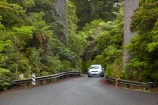 automobile;automobiles;car;cars;driving;highway;highways;kauri;kauri-bridge;kauri-bridges;Kauri-Coast;kauri-forest;kauri-forests;kauri-tree;kauri-trees;kauris;N.I.;N.Z.;New-Zealand;NI;North-Is;North-Is.;North-Island;Northland;NZ;open-road;open-roads;Road;road-trip;roads;state-highway-12;state-highway-twelve;Toyota-Carolla;Toyota-Carollas;tranportation;transport;transportation;travel;traveling;travelling;trip;trips;vehicle;vehicles;Waipoua;Waipoua-Forest;Waipoua-Kauri-forest