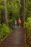 beautiful;beauty;boardwalk;boardwalks;boy;boys;brother;brothers;bush;child;children;endemic;families;family;footpath;footpaths;forest;forest-reserve;forest-track;forest-tracks;forests;girl;girls;green;hiking-track;hiking-tracks;kauri-forest;kauri-forests;Kauri-Tree;Kauri-Trees;Kerikeri;kid;kids;little-boy;little-girl;lush;Manginangina;Manginangina-Kauri-Walk;Manginangina-Walk;mother;mothers;N.I.;N.Z.;native;native-bush;natives;natural;nature;New-Zealand;NI;North-Is;North-Is.;North-Island;Northland;NZ;path;paths;people;person;Puketi-Forest;rain-forest;rain-forests;rain_forest;rain_forests;rainforest;rainforests;scene;scenic;sibbling;sibblings;sister;sisters;small-boys;small-girls;timber;tourism;tourist;tourists;track;tracks;tree;tree-trunk;tree-trunks;trees;trunk;trunks;walking-track;walking-tracks;wood;woods