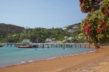 Bay-of-Is;Bay-of-Islands;beach;beaches;coast;coastal;coastline;dock;docks;flower;flowers;jetties;jetty;Kororareka;Kororareka-Bay;metrosideros-excelsa;N.I.;N.Z.;native;native-plant;native-plants;New-Zealand;NI;North-Is;North-Is.;North-Island;Northland;NZ;ocean;pier;piers;plant;plants;pohutakawa;pohutakawas;pohutukawa;pohutukawa-flower;pohutukawa-flowers;pohutukawa-tree;pohutukawa-trees;pohutukawas;quay;quays;Russell;sand;sandy;shore;shoreline;summer;The-Strand;tree;trees;waterfront;waterside;wharf;wharfes;wharves