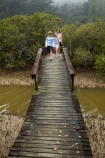 Bay-of-Is;Bay-of-Islands;boardwalk;boardwalks;boy;bridge;bridges;child;children;estuaries;estuary;families;family;foot-bridge;foot-bridges;footbridge;footbridges;girl;hiking-track;hiking-tracks;inlet;inlets;lagoon;lagoons;mangrove;mangrove-boardwalk;mangrove-boardwalks;mangrove-swamp;mangrove-swamps;mangroves;mother;N.I.;N.Z.;New-Zealand;NI;North-Is;North-Is.;North-Island;Northland;NZ;Paihia;pedestrian-bridge;pedestrian-bridges;people;person;tidal;tide;tides;tourism;tourist;tourists;track;tracks;walking-track;walking-tracks;water