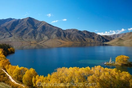 A2O;Alps-2-Ocean-cycle-trail;Alps-to-ocean-cycle-trail;autuminal;autumn;autumn-colour;autumn-colours;autumnal;Benmore-Ra;Benmore-Range;bike-track;bike-tracks;bike-trail;bike-trails;color;colors;colour;colours;cycle-track;cycle-tracks;cycle-trail;cycle-trails;cycleway;cycleways;deciduous;fall;gold;golden;lake;Lake-Benmore;lakes;leaf;leaves;N.Z.;New-Zealand;North-Otago;NZ;Otago;S.I.;Sailors-Cutting;Sailors-Cutting;season;seasonal;seasons;SI;South-Island;Sth-Is;Sth-Is.;Totara-Peak;Totara-Pk;tree;trees;Waitaki;Waitaki-District;Waitaki-Region;Waitaki-Valley;willow;willow-tree;willow-trees;willows;yellow