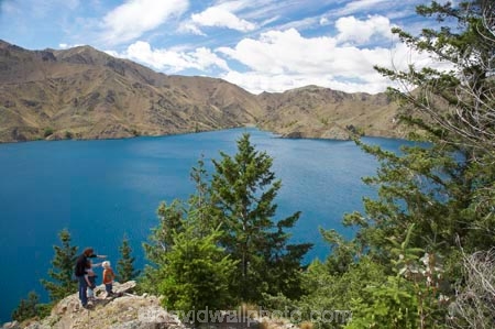 Benmore-Dam;child;children;families;family;father;fathers;Lake-Benmore;larch;larch-tree;larch-trees;larches;larix;Larix-decidua;mother;mother-and-child;mother-and-children;mothers;N.Z.;New-Zealand;North-Otago;NZ;Otago;people;person;SI;South-Island;Waitaki-District;Waitaki-Valley;walker;walkers