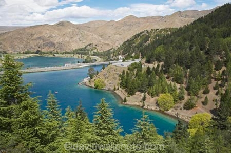 Benmore-Dam;Lake-Benmore;larch;larch-tree;larch-trees;larches;larix;Larix-decidua;N.Z.;New-Zealand;North-Otago;NZ;Otago;SI;South-Island;Waitaki-District;Waitaki-Valley