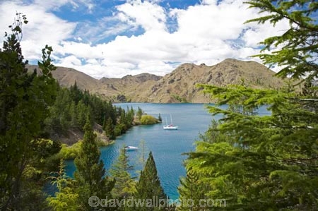Benmore-Dam;boat;boats;Lake-Benmore;larch;larch-tree;larch-trees;larches;larix;Larix-decidua;N.Z.;New-Zealand;North-Otago;NZ;Otago;SI;South-Island;Waitaki-District;Waitaki-Valley;yacht;yachts